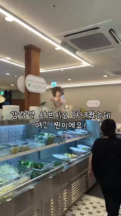 맛집 SNS 리뷰 릴스